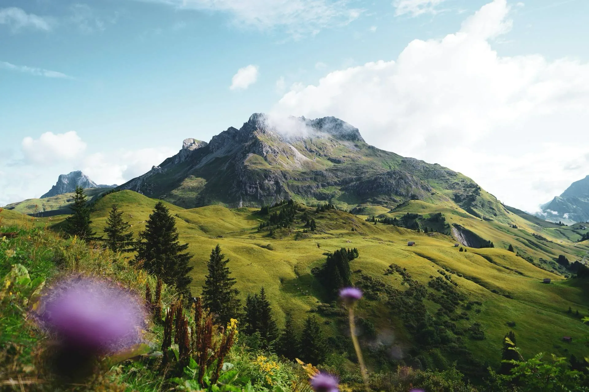 Alpine panorama