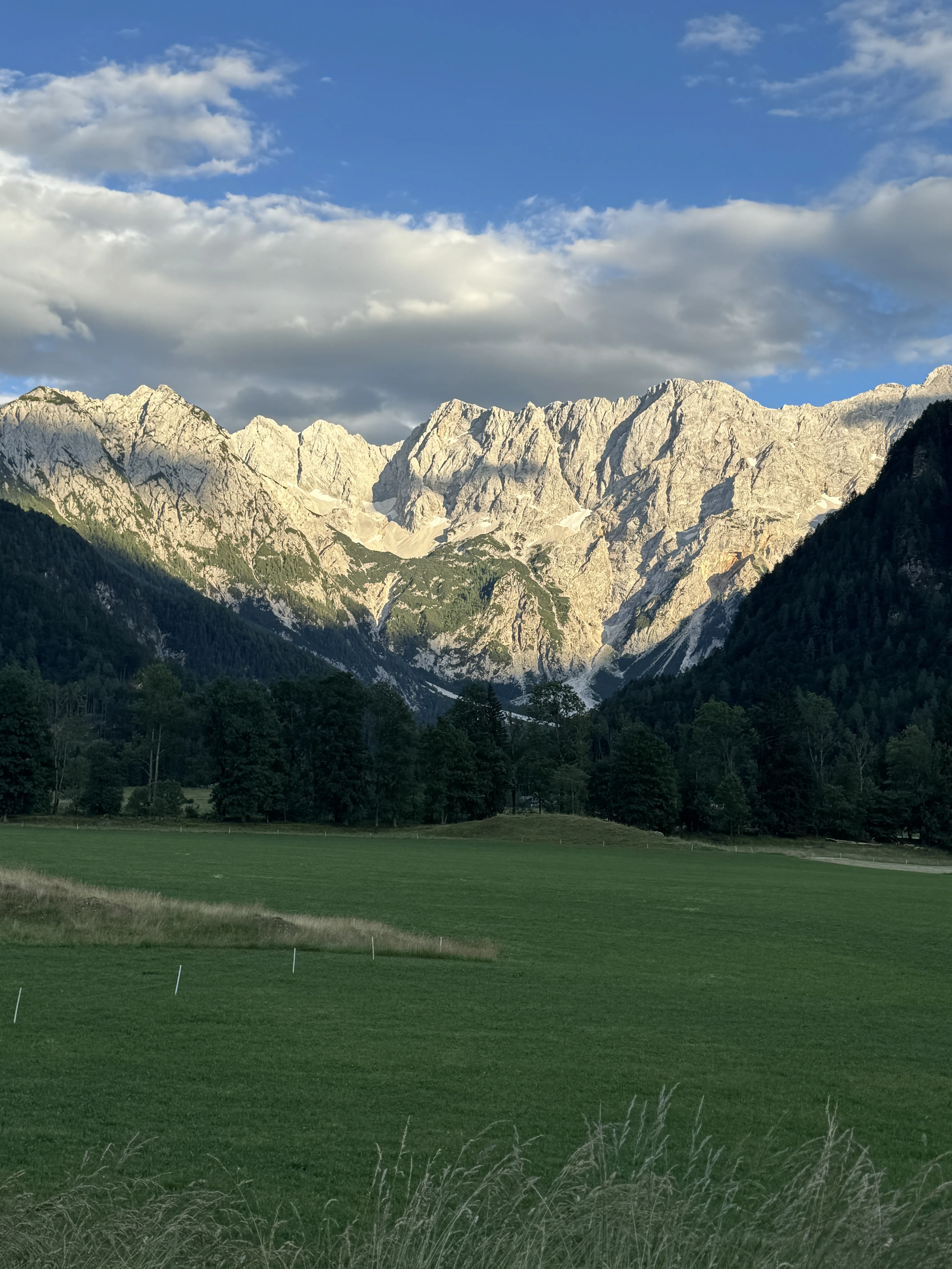 Alpenpanorama